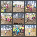 ZYGIS COLLAGE